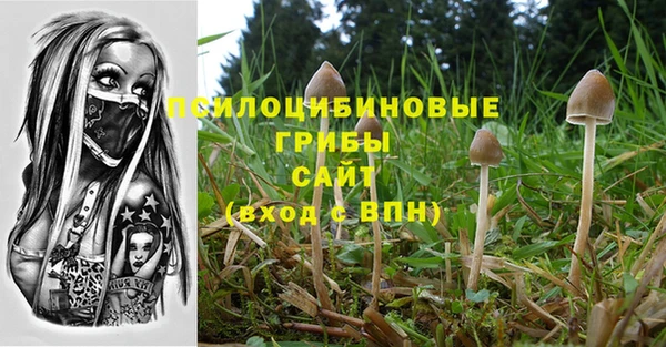прущая мука Лабытнанги