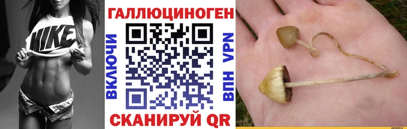 Псилоцибиновые грибы Cubensis  Шиханы 